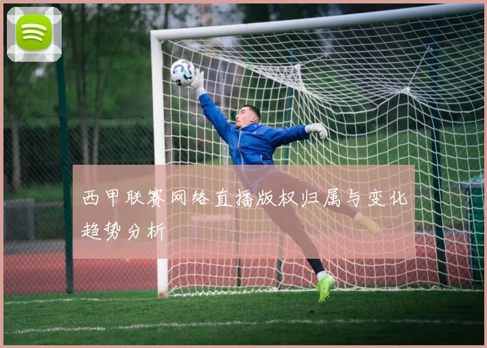 西甲联赛网络直播版权归属与变化趋势分析