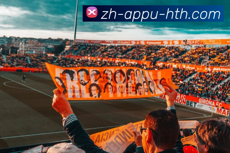 App Interface Preview